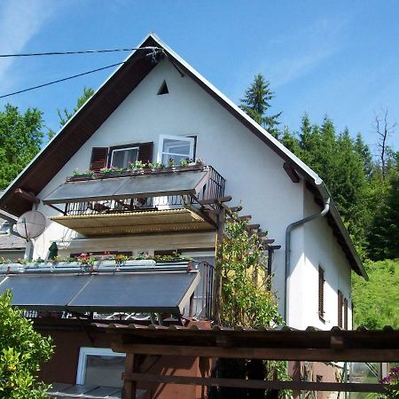 Riedl Gaestewohnung Klagenfurt am Wörthersee Extérieur photo